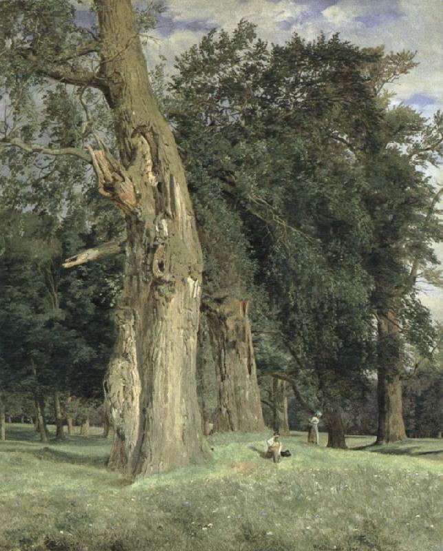 Ferdinand Georg Waldmuller old elms in prater